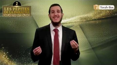 Les 3 Pépites de la Paracha Tazria-Métsora #2
