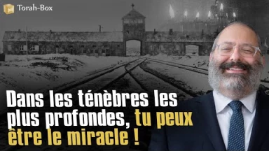 Dans les ténèbres les plus profondes, tu peux être le miracle
