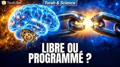 Tes choix sont-ils déjà écrits ? | Torah & Science #7
