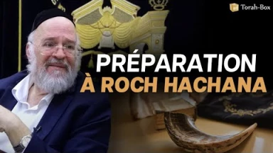 La Paracha Choftim avec Rav Rosenblum