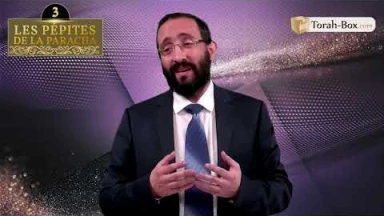 Les 3 Pépites de la Paracha Balak