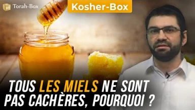 Kosher-Box : Tous les miels ne sont pas Cachères, pourquoi ?