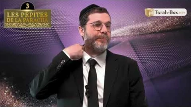 Les 3 Pépites de la Paracha Béhaalotékha