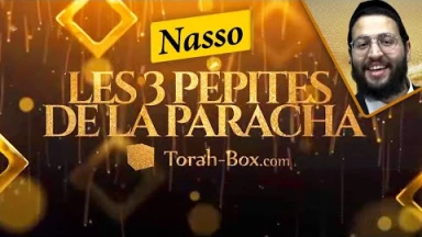 Les 3 Pépites de la Paracha Nasso
