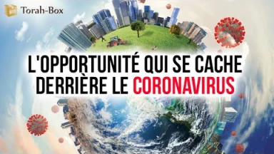 L'opportunité qui se cache derrière le Coronavirus - Une vidéo exceptionnelle