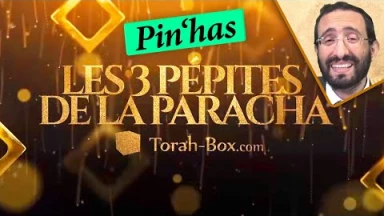 Les 3 Pépites de la Paracha Pin'has