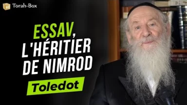 Toledot : Essav, l'héritier de Nimrod