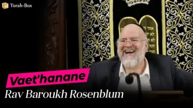 La Paracha Vaét'hanan avec Rav Rosenblum