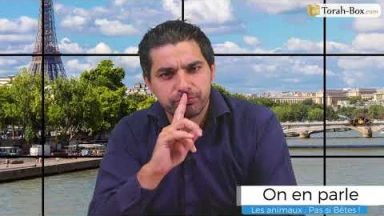 On en parle - Les Animaux : Pas si Bêtes !