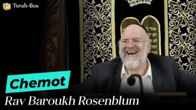 La Paracha Chémot avec Rav Rosenblum