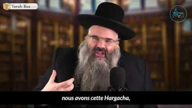 Les ralentisseurs sont-ils vraiment nécessaires ?