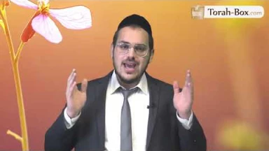 Chovavim : Renforce ta pureté