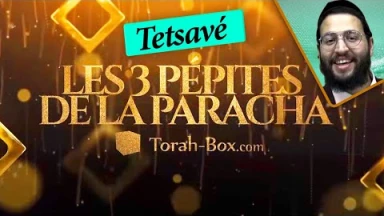 Les 3 Pépites de la Paracha Tetsavé