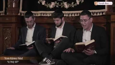 Kinot de Ticha Béav n°7 : Yom Kémo Nèd / יוֹם כְּמוֹ נֵד