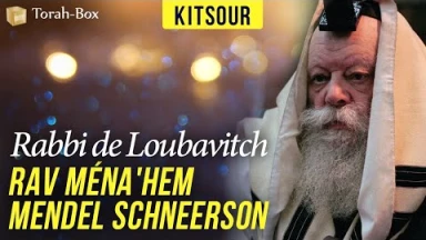 Kitsour : Rabbi de Loubavitch, Rav Ména'hem Mendel Schneerson