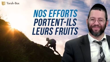 Nos efforts portent-ils leurs fruits ?