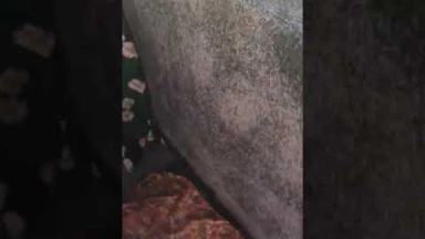 Aidez Yaël, jeune fille de 25 ans, SDF depuis le Coronavirus...!