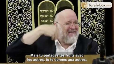 La Paracha Lèkh Lékha avec Rav Rosenblum