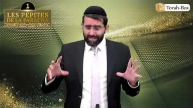 Les 3 Pépites de la Paracha Nitsavim/Vayélèkh