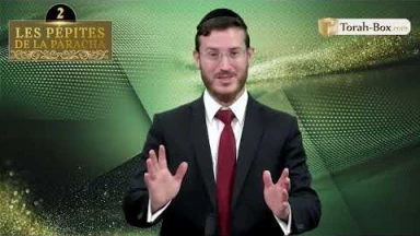 Les 3 Pépites de la Paracha Béréchit