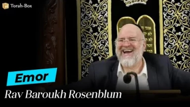 La Paracha Emor avec Rav Rosenblum