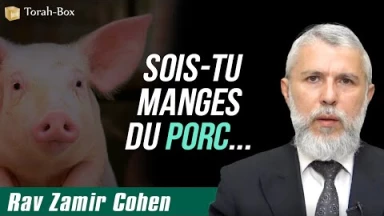 [Vidéo] "Soit tu manges du porc..."
