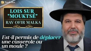 Lois sur Mouktsé - Mouktsé - est-il permis de déplacer une casserole ou un moule ?