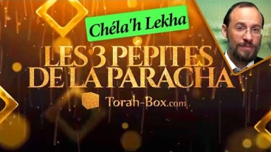 Les pépites de la Paracha Chéla'h Lekha