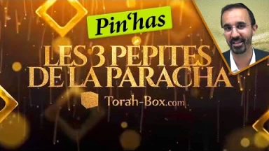 Les 3 pépites de la Paracha Pin'has