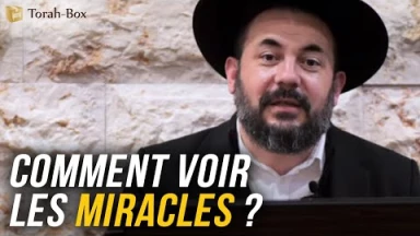 Comment voir les miracles ?