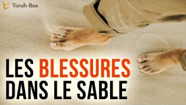 Les blessures dans le sable