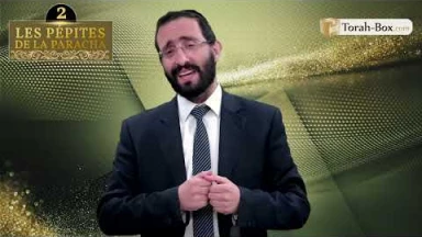 Les 3 Pépites de la Paracha Kora'h
