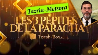 Les 3 Pépites de la Paracha Tazria - Metsora