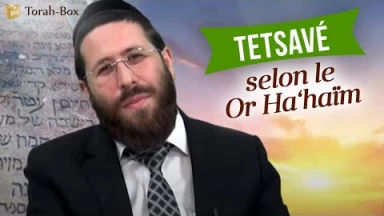Tetsavé selon le Or Ha‘haïm