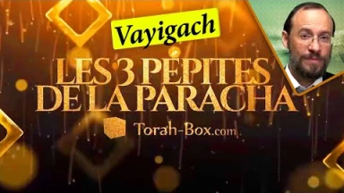 Les 3 Pépites de la Paracha Vayigach
