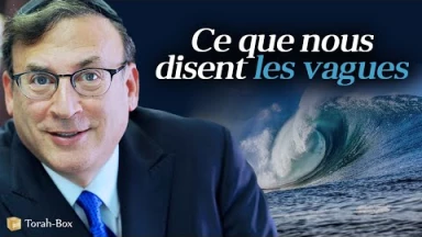 Ce que nous disent les vagues