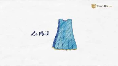 Draw My Paracha : Tetsavé