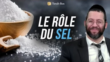 Le rôle du sel