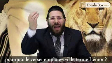 Le Séder de Pessa'h selon le Or Ha'haïm Hakadoch