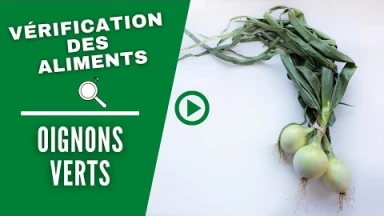 Vérification des aliments : Oignons verts