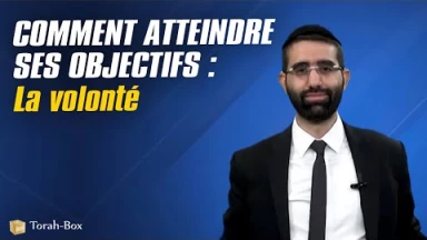 Comment atteindre ses objectifs ? La volonté