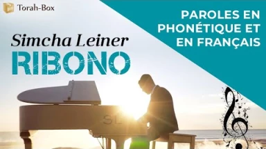 Musique : La chanson "Ribono" de Simcha Leiner