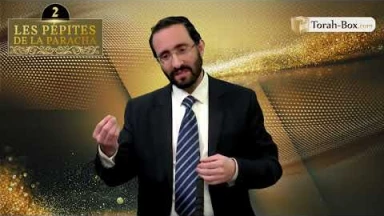 Les 3 Pépites de la Paracha Yitro