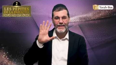 Les 3 Pépites de la Paracha Emor
