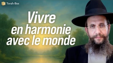 Vivre en harmonie avec le monde