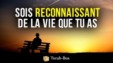 Sois reconnaissant de la vie que tu as