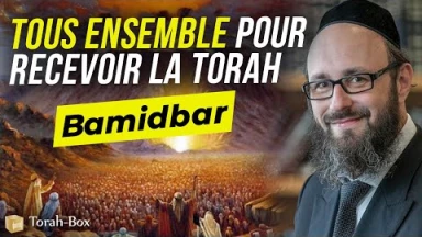 Le Message de la Paracha - Bamidbar : Tous ensemble pour recevoir la Torah