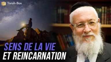 Sens De La Vie & Réincarnation
