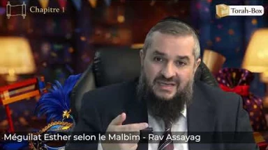 Toute la Méguilat Esther expliquée selon le Malbim