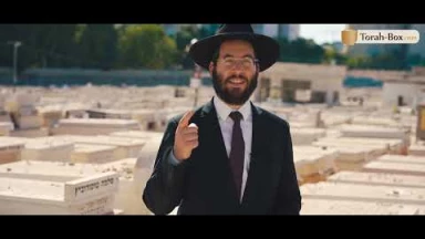 La Caisse de Tsédaka sous l’égide du Rav Kanievsky
